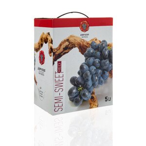 DIONYSOS Imiglykos červené polosladké víno box 5 l