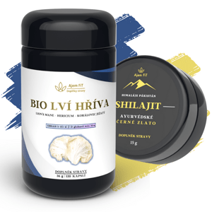 PRO MOZEK PAMĚŤ A SOUSTŘEDĚNÍ - (AjemFiT) - Shilajit 15g + Hericium (36g - 120 kapslí) AJEM- KOMB- 4