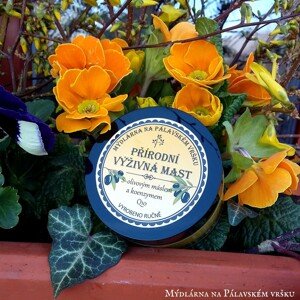 Mýdlárna na Pálavském vršku! | Přírodní Výživná Mast (Olivové Máslo - Q10) - 30ml PALAVA4