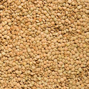 Čočka zelená velká 5 kg BIO   COUNTRY LIFE